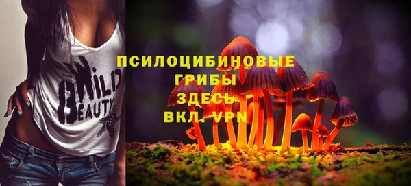 скорость Мегион
