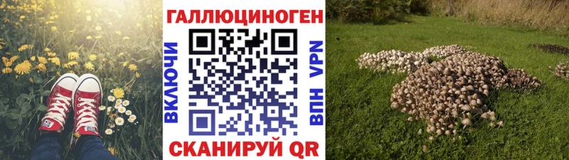 Галлюциногенные грибы Psilocybine cubensis  как найти закладки  Нягань 