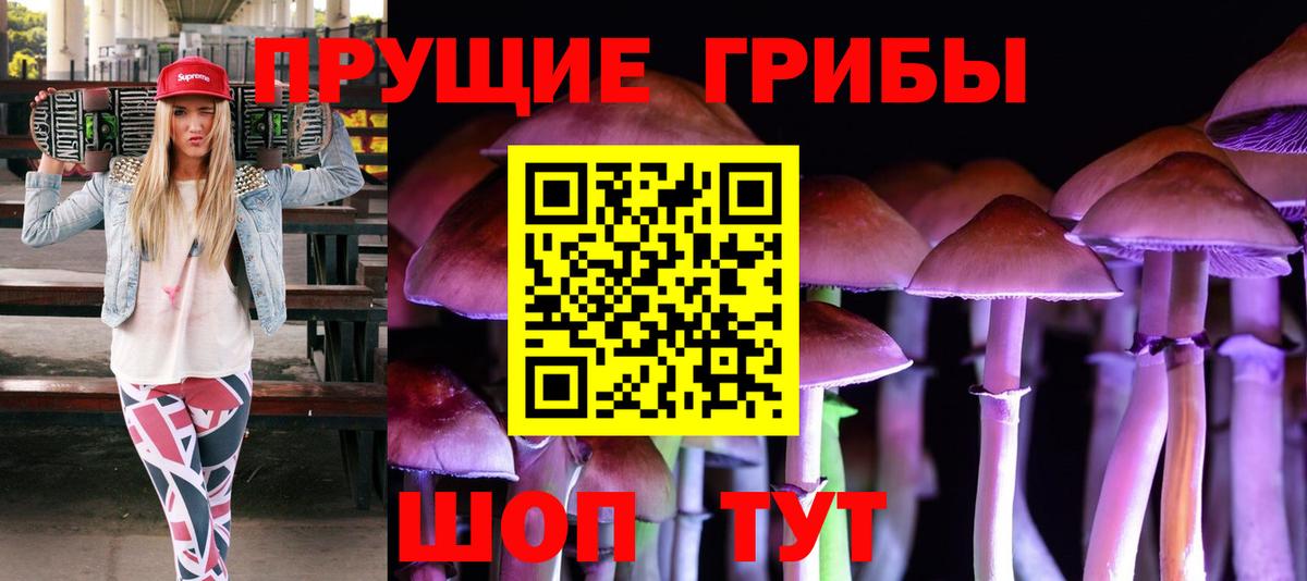 Нягань  Галлюциногенные грибы Psilocybe  Вход с VPN 